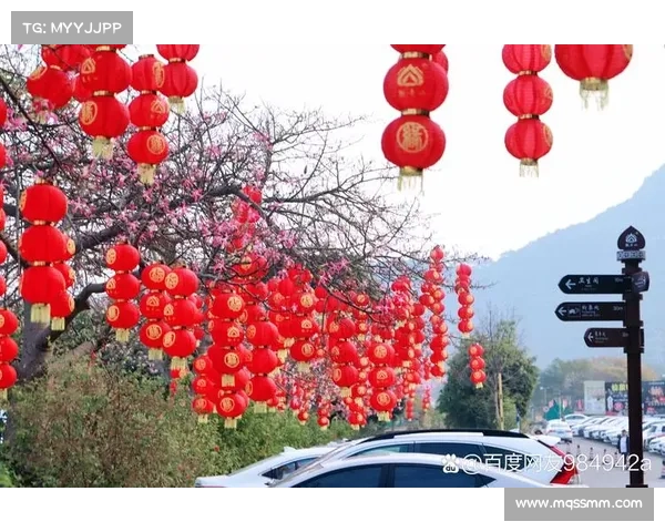 春节扫福活动全攻略助你迎接好运与新春财运的完美指南