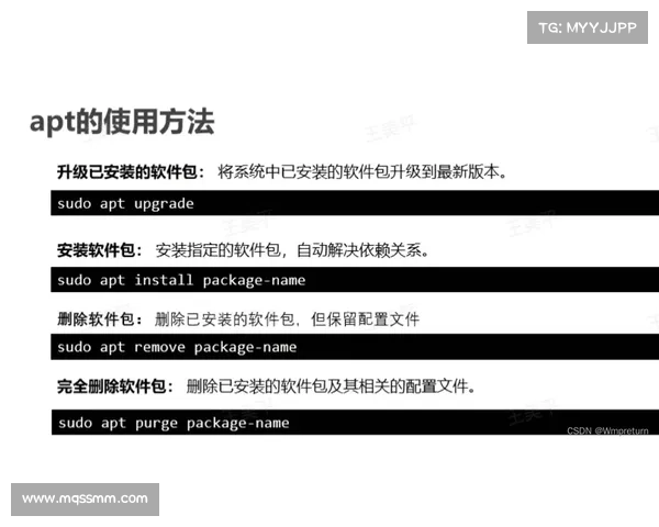 全面解析如何快速准确了解坎贝尔所司位置的方法指南实用全面技巧