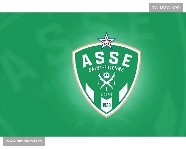 探秘法甲冠军标志背后隐秘历史与荣耀传承的传奇篇章解码之谜录集