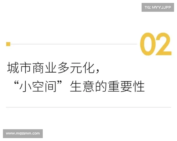 安赛龙分享学习木工的趣味之旅探索与成长心得