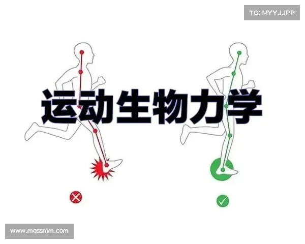 布克的饮食与营养计划解析助力职业生涯提升与身体状态优化